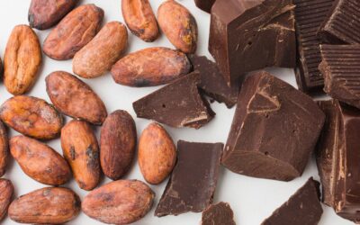 En savoir plus sur nos chocolats